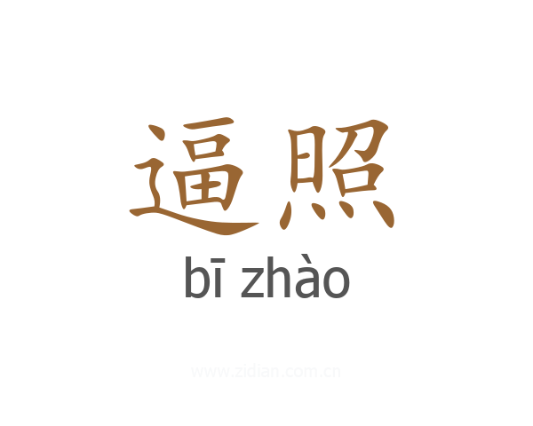 逼照