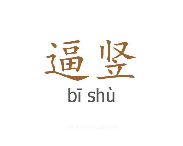 逼竖