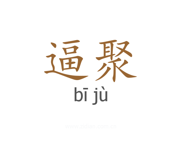逼聚