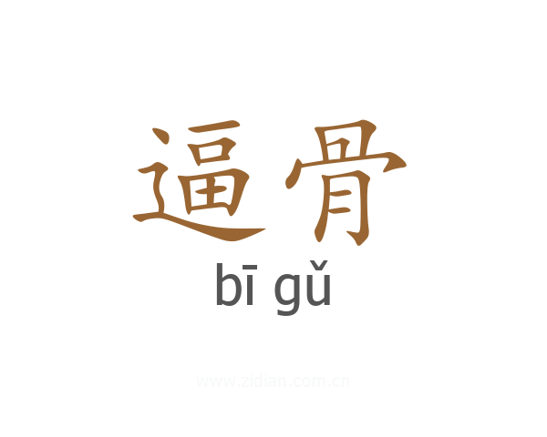 逼骨