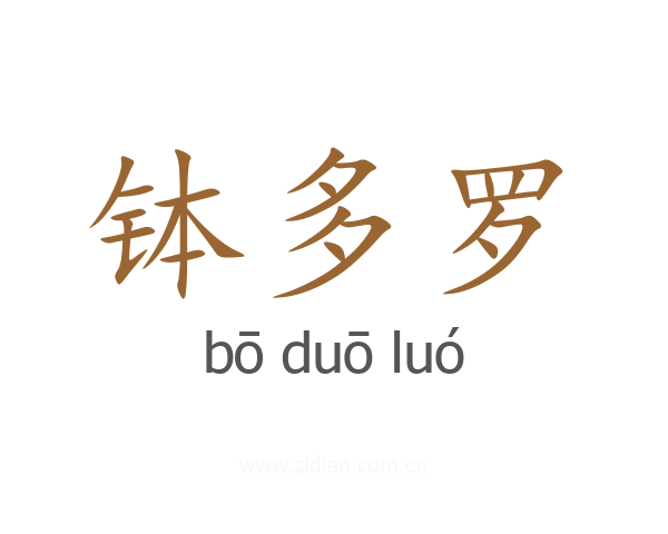 钵多罗