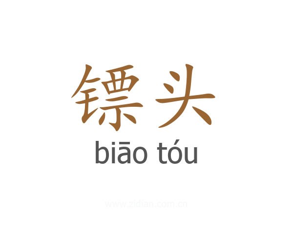 镖头
