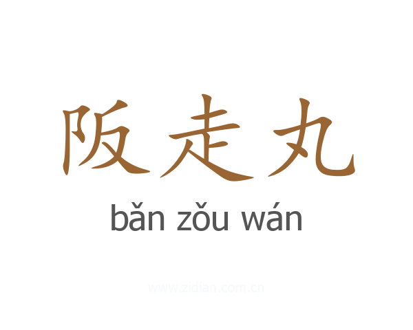 阪走丸