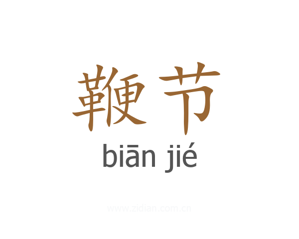 鞭节