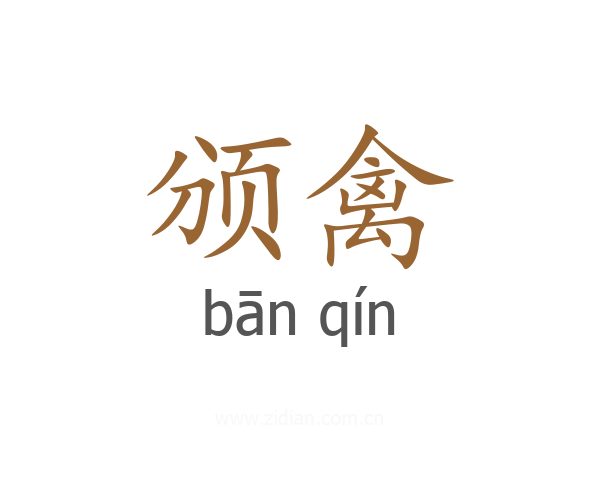 颁禽