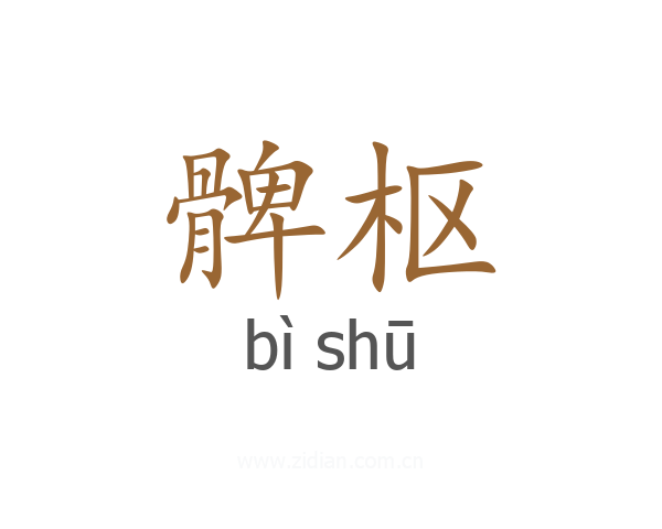 髀枢