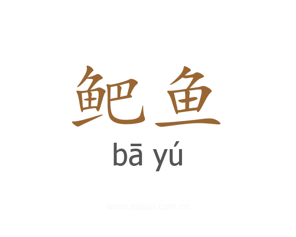 鲃鱼