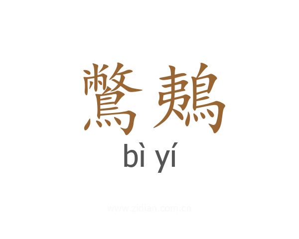 鷩鴺