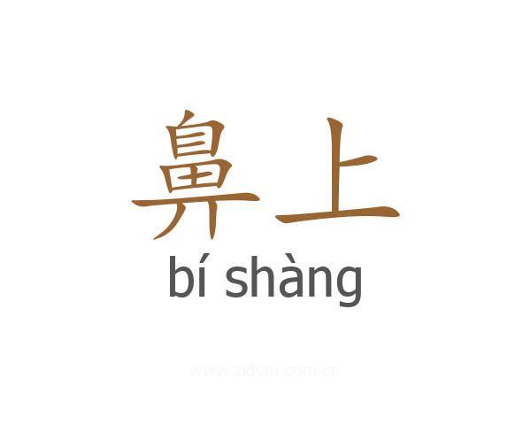 鼻上