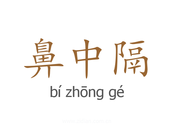 鼻中隔
