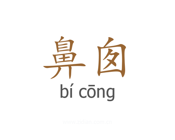 鼻囱