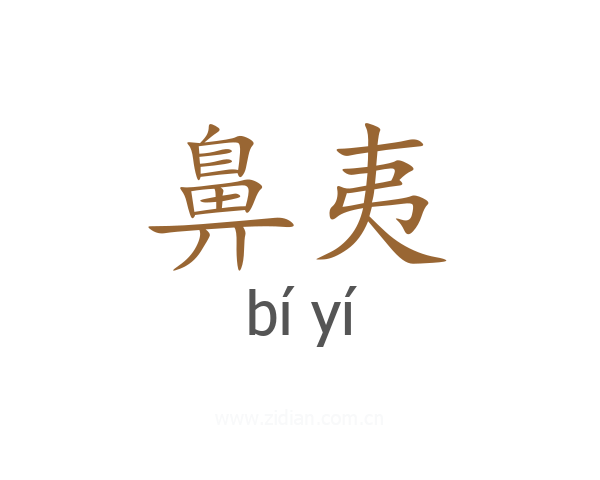 鼻夷