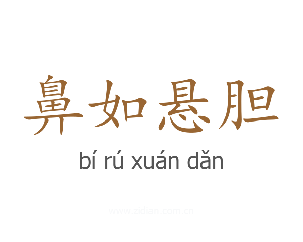 鼻如悬胆