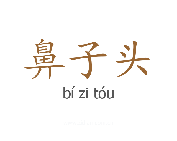 鼻子头