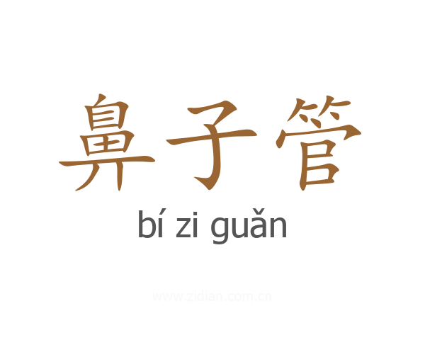 鼻子管