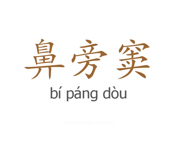 鼻旁窦