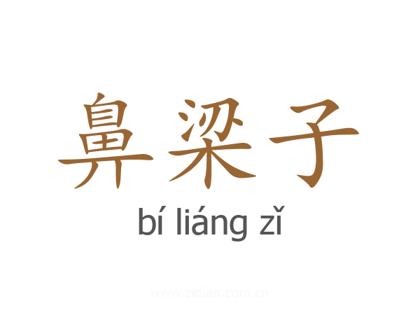 鼻梁子