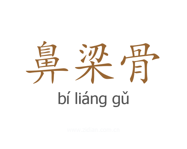 鼻梁骨