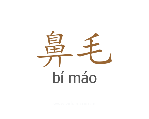 鼻毛