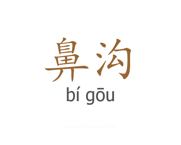 鼻沟