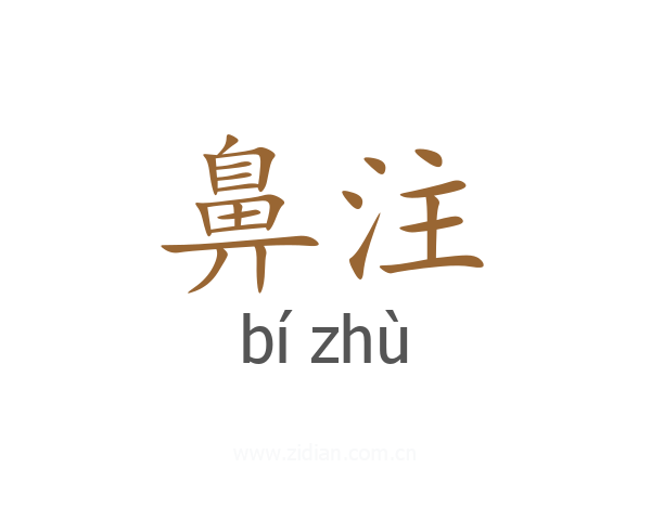 鼻注