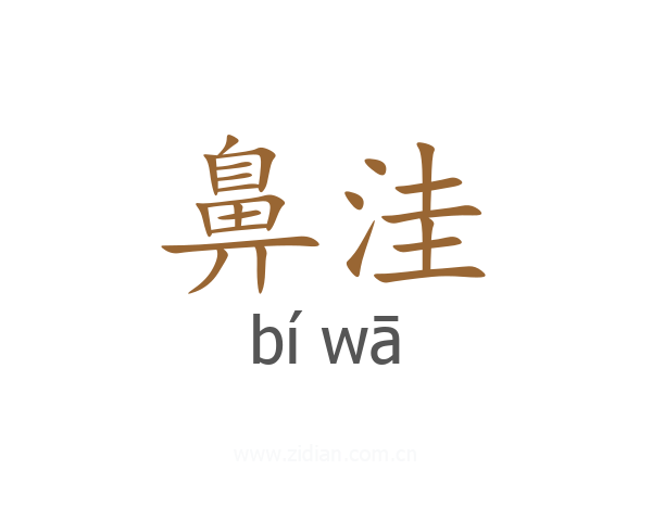 鼻洼