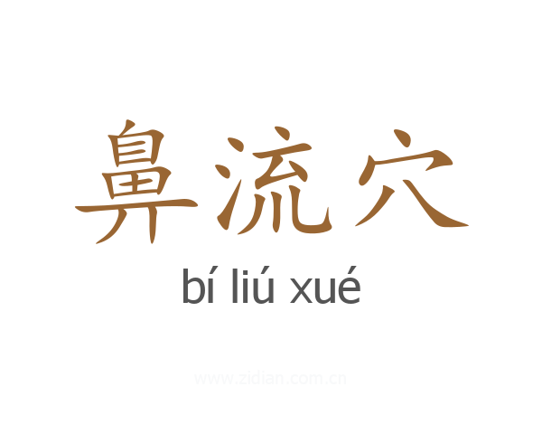 鼻流穴