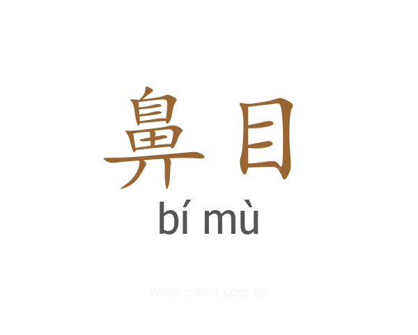 鼻目
