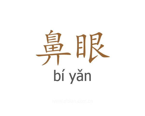 鼻眼