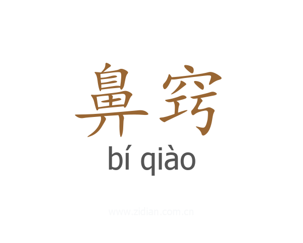 鼻窍
