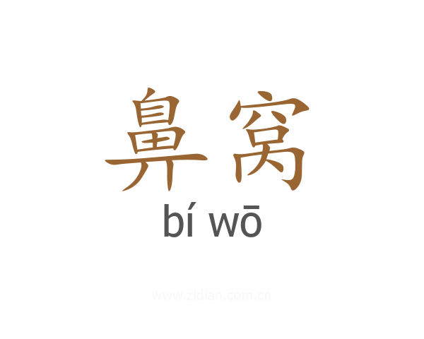 鼻窝
