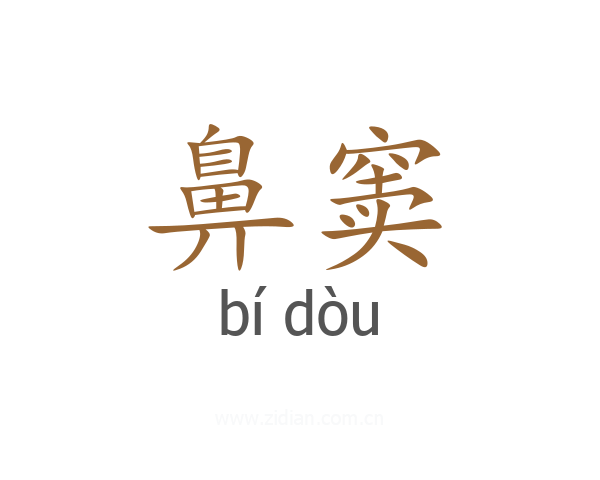 鼻窦