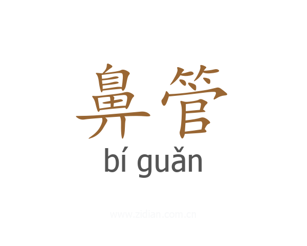 鼻管