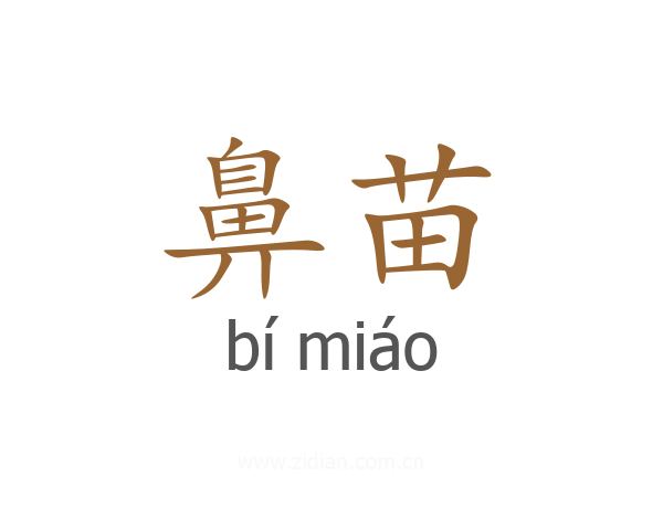 鼻苗