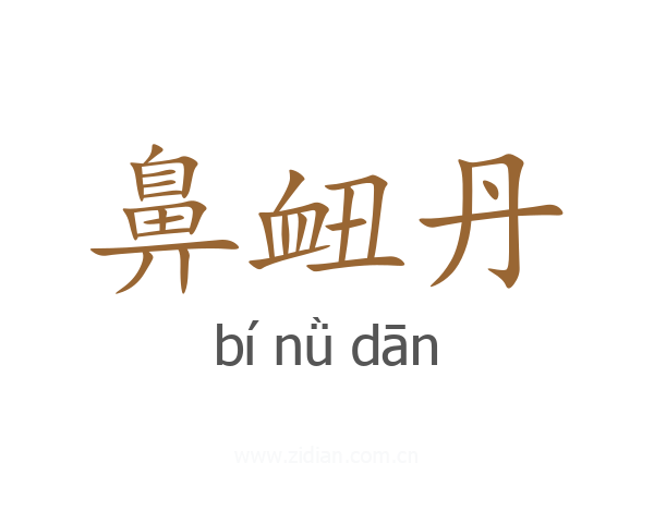 鼻衄丹