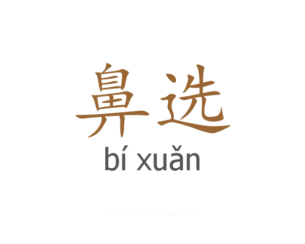 鼻选