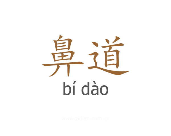 鼻道