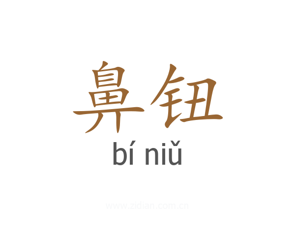 鼻钮