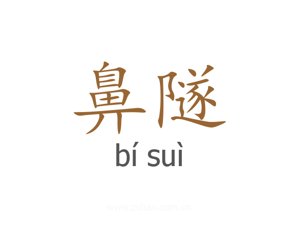 鼻隧