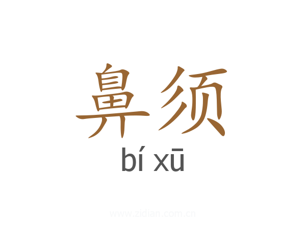 鼻须