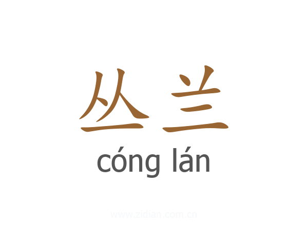 丛兰