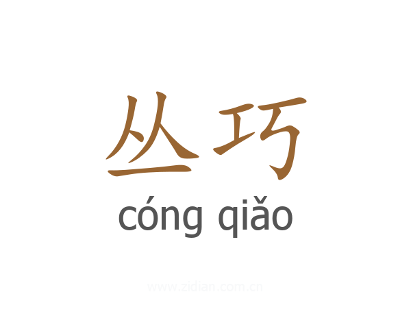 丛巧