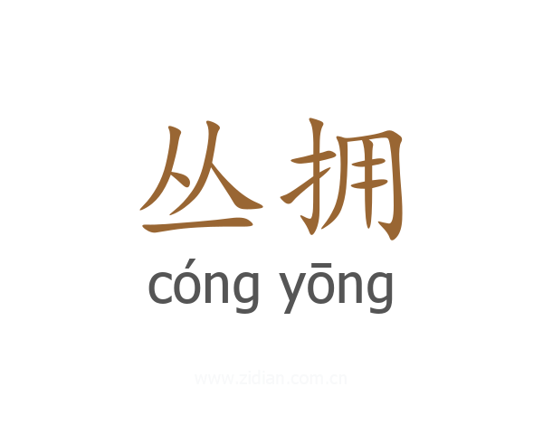 丛拥