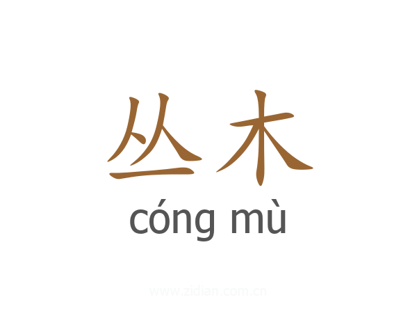 丛木