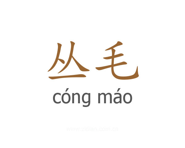 丛毛