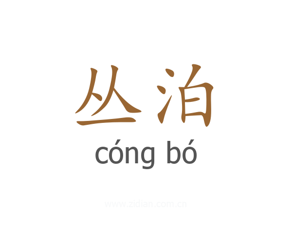 丛泊