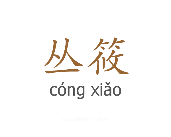 丛筱