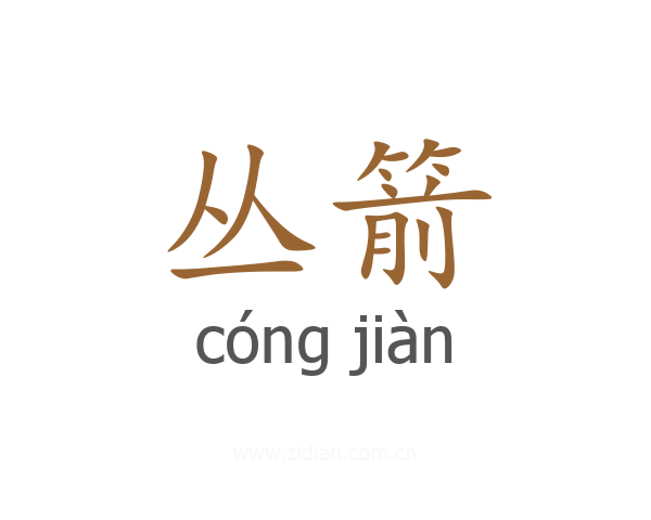 丛箭