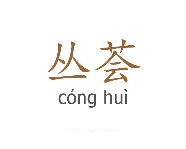 丛荟