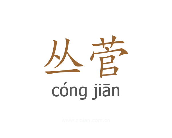 丛菅